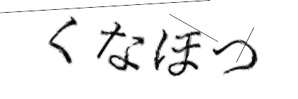 CAPTCHA画像