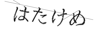 CAPTCHA画像