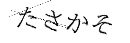 CAPTCHA画像