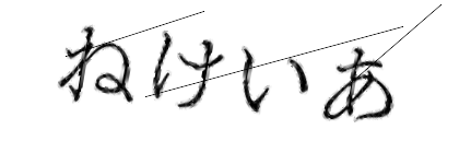 CAPTCHA画像