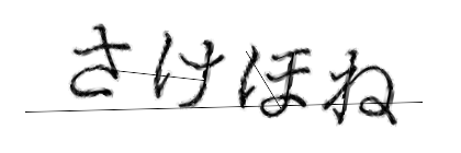 CAPTCHA画像