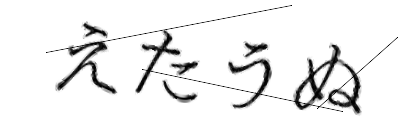 CAPTCHA画像