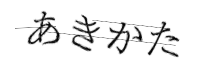 CAPTCHA画像