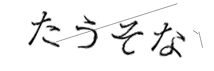 CAPTCHA画像