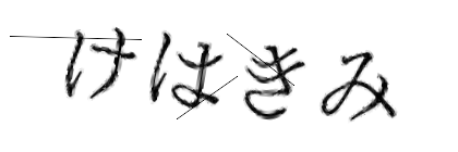 CAPTCHA画像