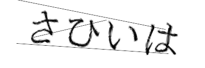 CAPTCHA画像