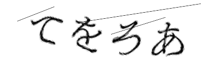 CAPTCHA画像