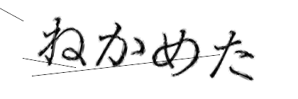 CAPTCHA画像