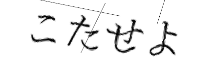 CAPTCHA画像