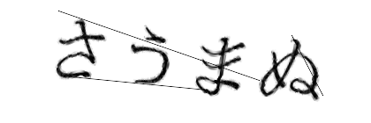 CAPTCHA画像