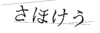 CAPTCHA画像
