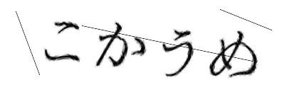 CAPTCHA画像