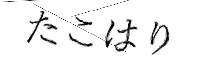 CAPTCHA画像