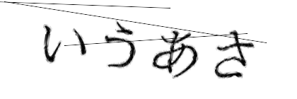 CAPTCHA画像