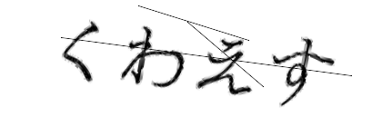 CAPTCHA画像