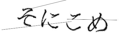 CAPTCHA画像