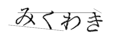 CAPTCHA画像