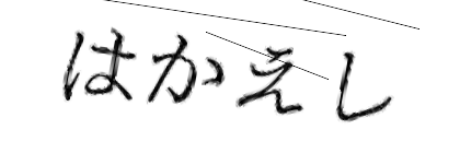 CAPTCHA画像