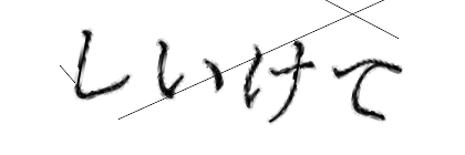 CAPTCHA画像