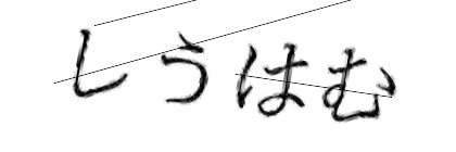 CAPTCHA画像