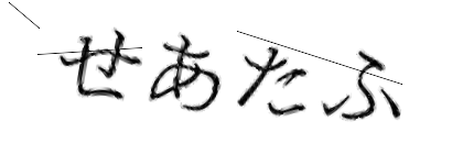 CAPTCHA画像