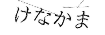 CAPTCHA画像