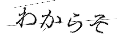 CAPTCHA画像