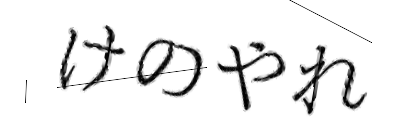 CAPTCHA画像
