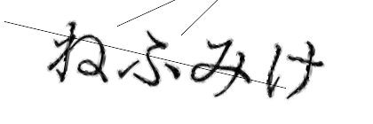 CAPTCHA画像