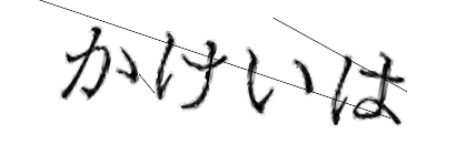 CAPTCHA画像