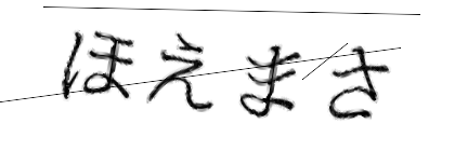CAPTCHA画像