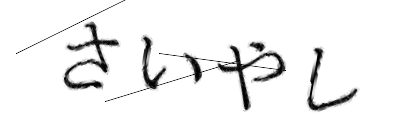 CAPTCHA画像
