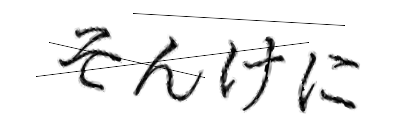 CAPTCHA画像