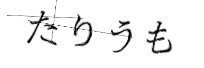 CAPTCHA画像
