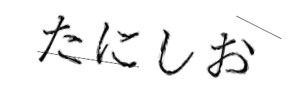 CAPTCHA画像