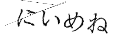 CAPTCHA画像