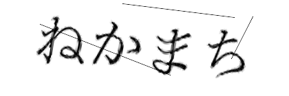 CAPTCHA画像