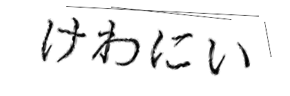 CAPTCHA画像