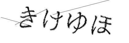CAPTCHA画像