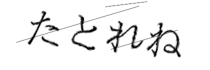 CAPTCHA画像