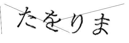 CAPTCHA画像