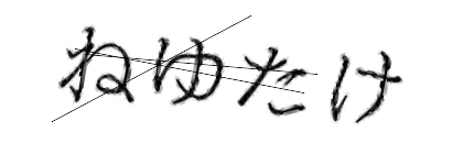 CAPTCHA画像