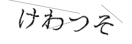 CAPTCHA画像