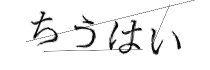 CAPTCHA画像