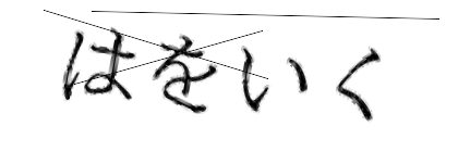 CAPTCHA画像