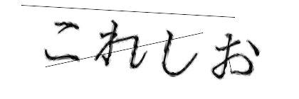 CAPTCHA画像