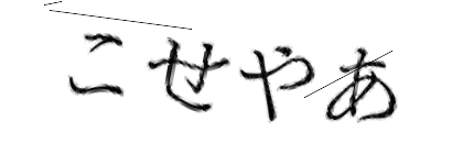 CAPTCHA画像