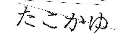 CAPTCHA画像