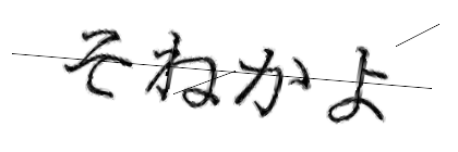 CAPTCHA画像
