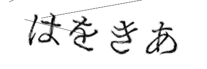 CAPTCHA画像
